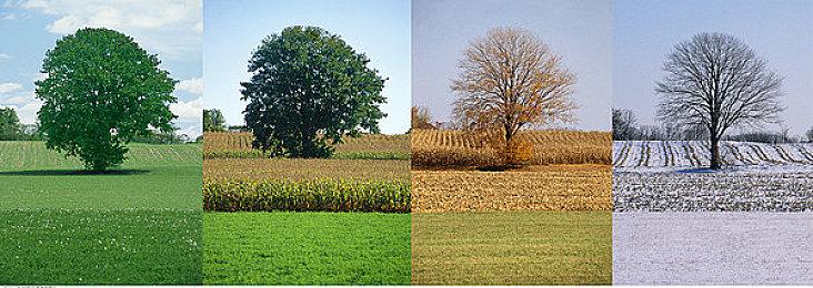 《生化危机8》月底登陆iPhone 15 售价40美元