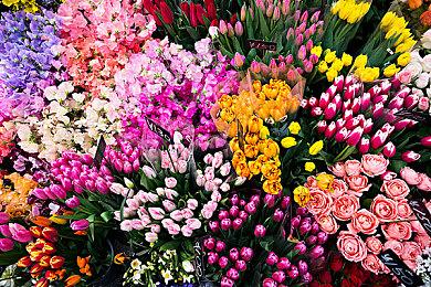 《超时空之轮》3月11日更新 支持全屏以及战斗加速